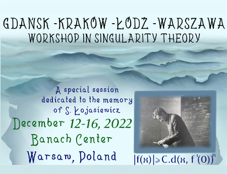 Workshop in Singularity Theory