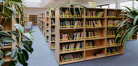 Biblioteka